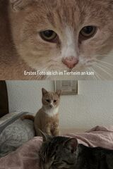 Luna +Muffin