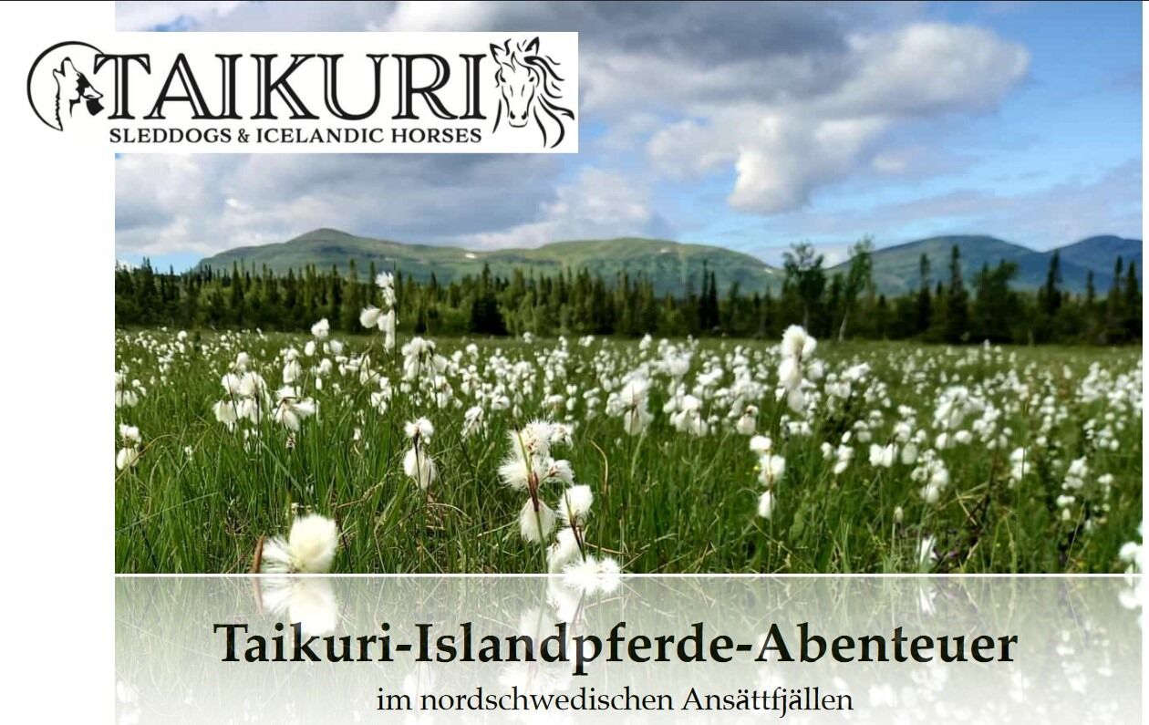 Taikuri-Isandpferde-Abenteuer